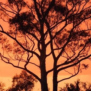 Meet your Posher, Anne